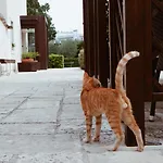 ホテル ラマベンデュラ